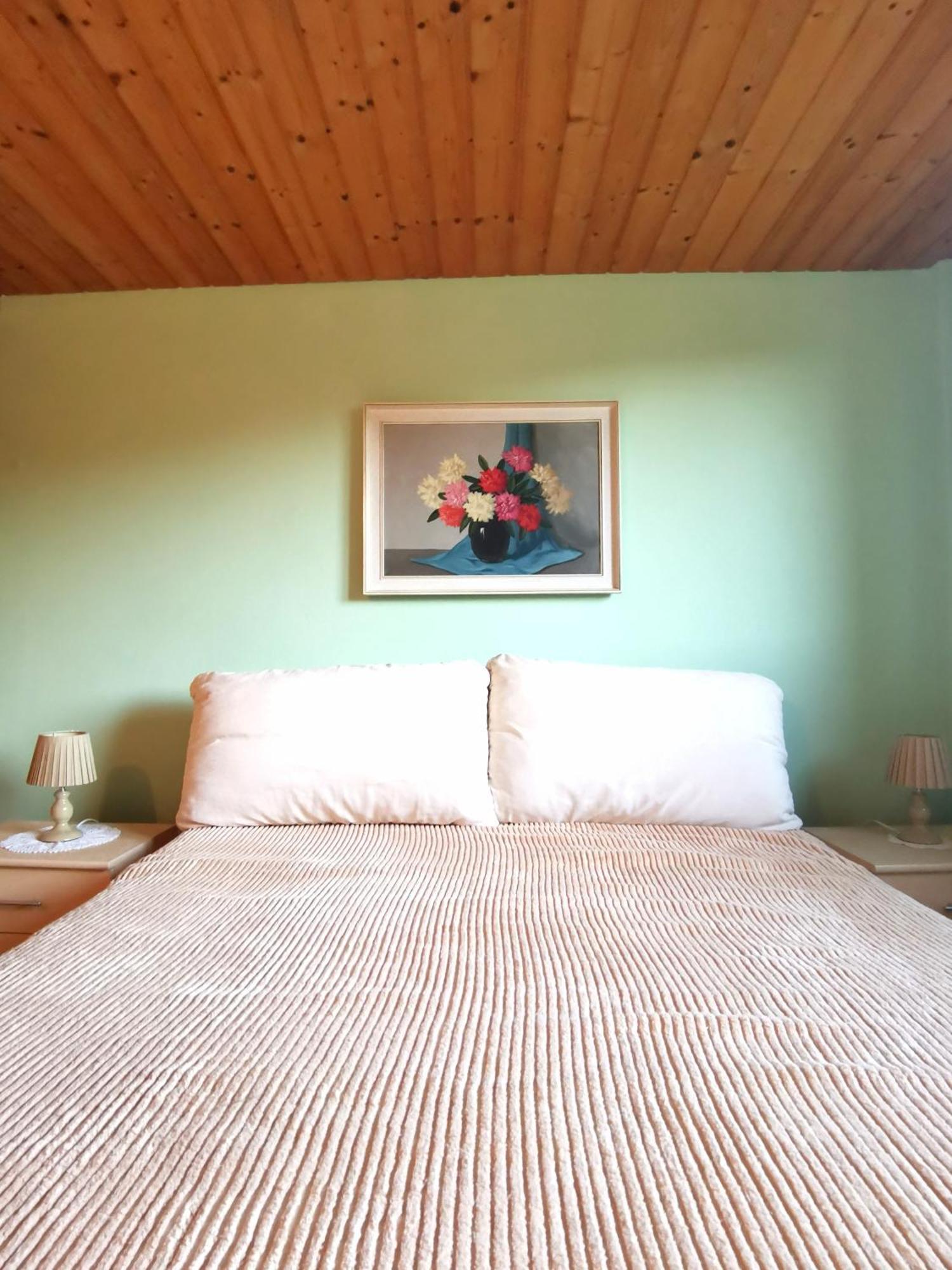 Grosses Ferienhaus Plattensee Balaton - Nyaralo Haz 6 Szobaval, 5 Fuerdoszobaval, 3000 Nm Appartement Szolad Buitenkant foto